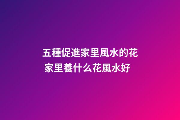 五種促進家里風水的花 家里養什么花風水好